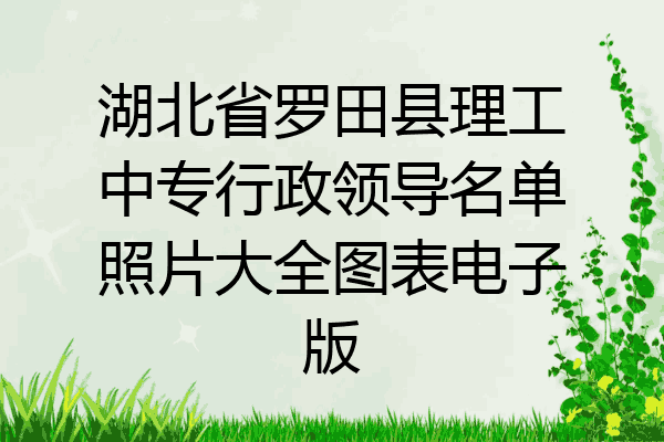 湖北省罗田县理工中专行政领导名单照片大全图表电子版