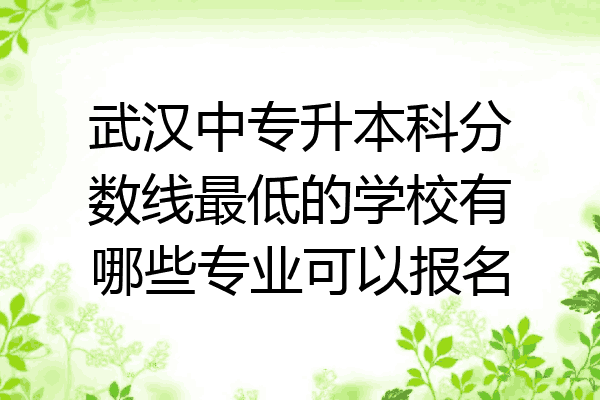 武汉中专升本科分数线最低的学校有哪些专业可以报名