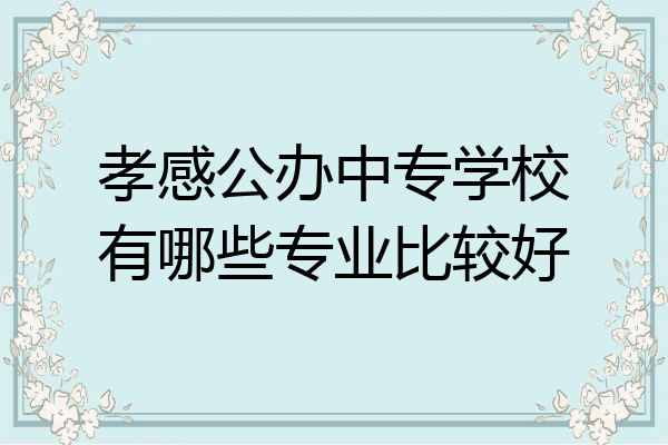 孝感公办中专学校有哪些专业比较好