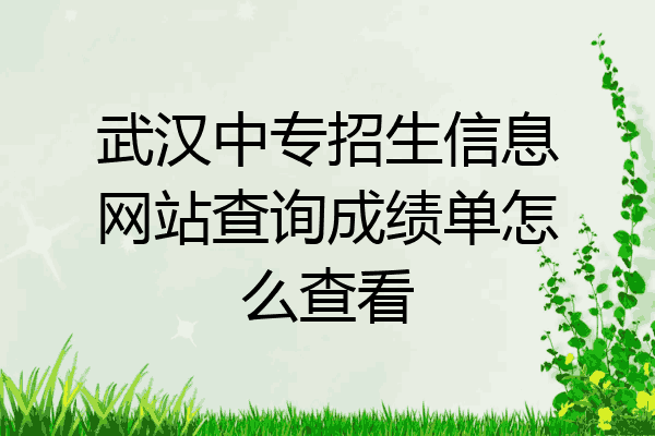 武汉中专招生信息网站查询成绩单怎么查看