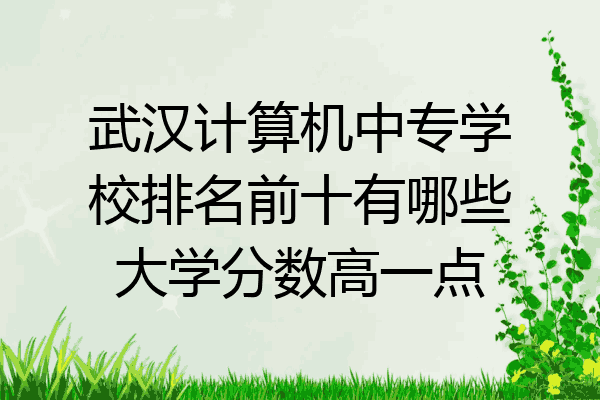 武汉计算机中专学校排名前十有哪些大学分数高一点
