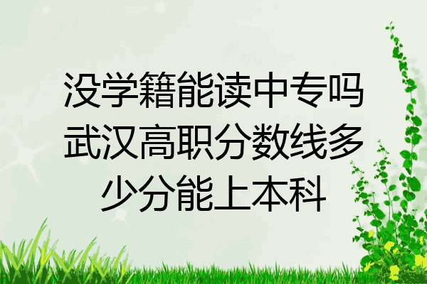 没学籍能读中专吗武汉高职分数线多少分能上本科