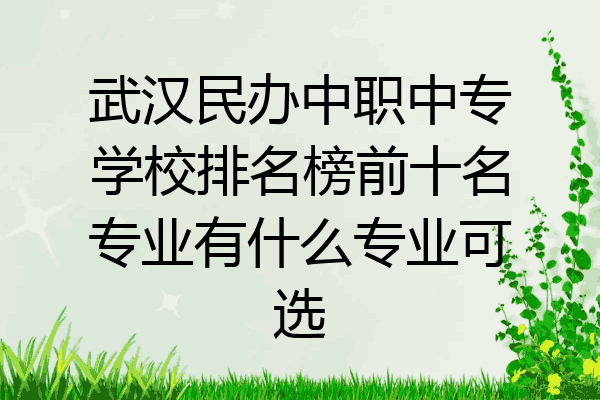 武汉民办中职中专学校排名榜前十名专业有什么专业可选