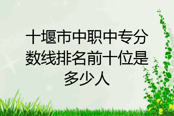 十堰市中职中专分数线排名前十位是多少人