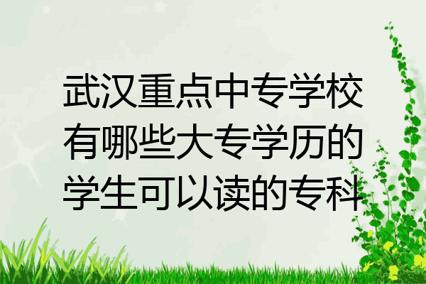 武汉重点中专学校有哪些大专学历的学生可以读的专科