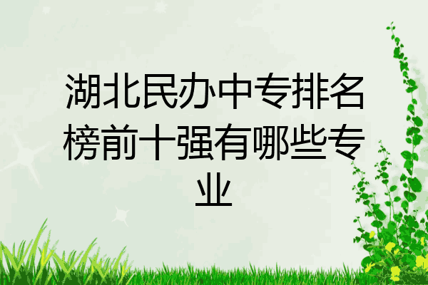 湖北民办中专排名榜前十强有哪些专业