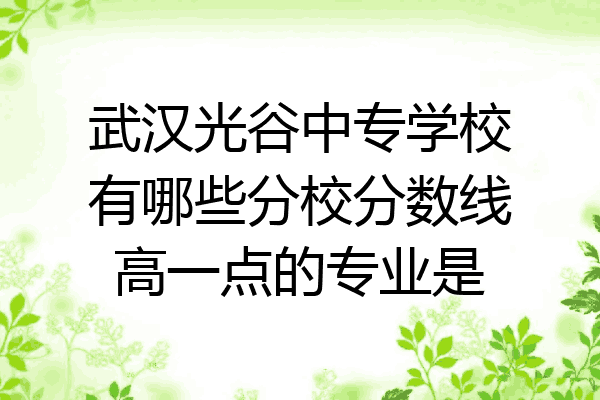 武汉光谷中专学校有哪些分校分数线高一点的专业是