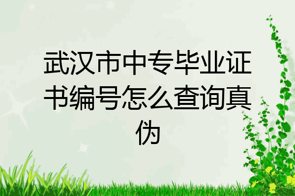 武汉市中专毕业证书编号怎么查询真伪