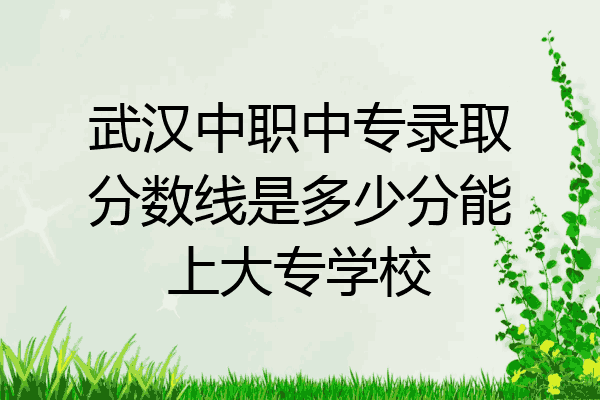 武汉中职中专录取分数线是多少分能上大专学校