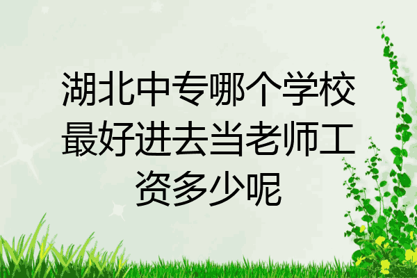 湖北中专哪个学校最好进去当老师工资多少呢