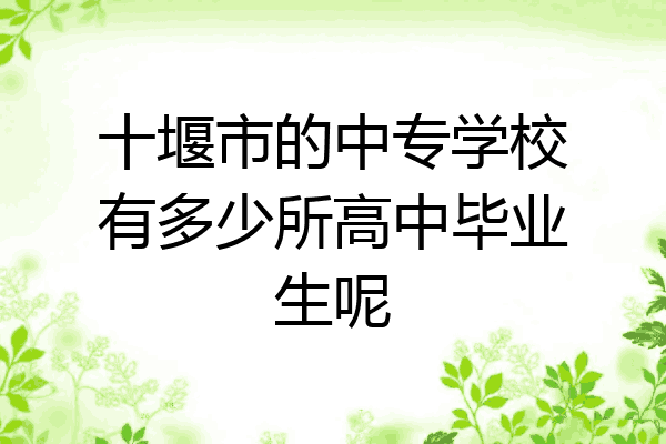 十堰市的中专学校有多少所高中毕业生呢