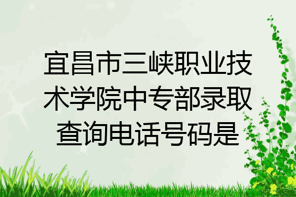 宜昌市三峡职业技术学院中专部录取查询电话号码是