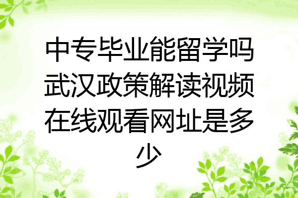 中专毕业能留学吗武汉政策解读视频在线观看网址是多少