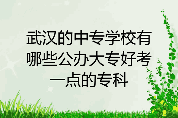 武汉的中专学校有哪些公办大专好考一点的专科