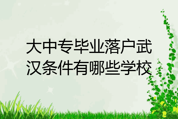 大中专毕业落户武汉条件有哪些学校