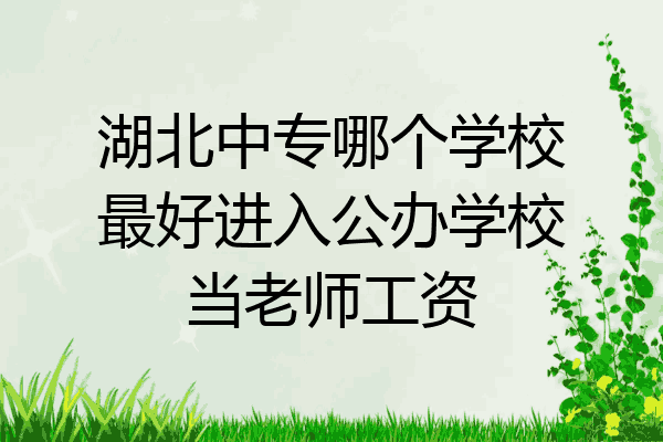 湖北中专哪个学校最好进入公办学校当老师工资