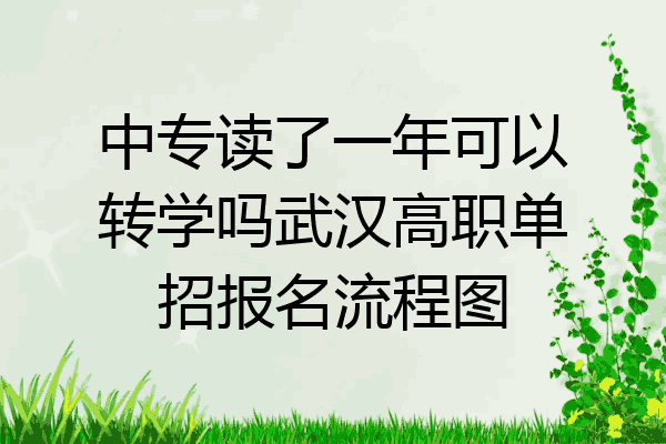 中专读了一年可以转学吗武汉高职单招报名流程图