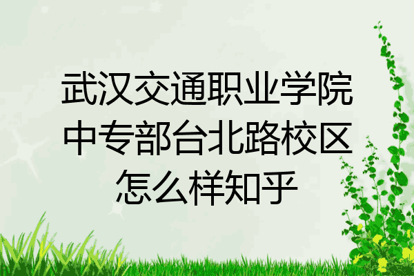 武汉交通职业学院中专部台北路校区怎么样知乎