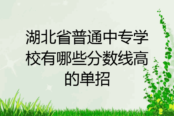湖北省普通中专学校有哪些分数线高的单招