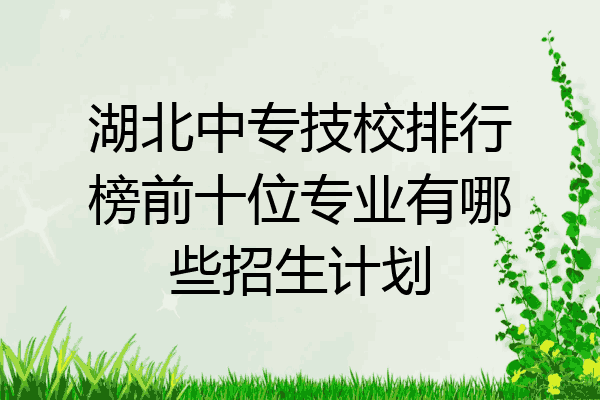湖北中专技校排行榜前十位专业有哪些招生计划