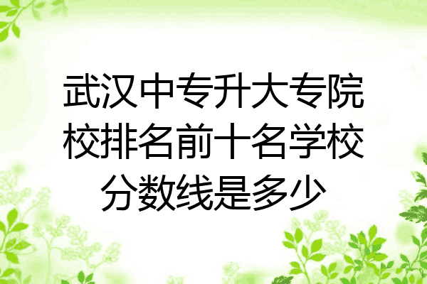 武汉中专升大专院校排名前十名学校分数线是多少