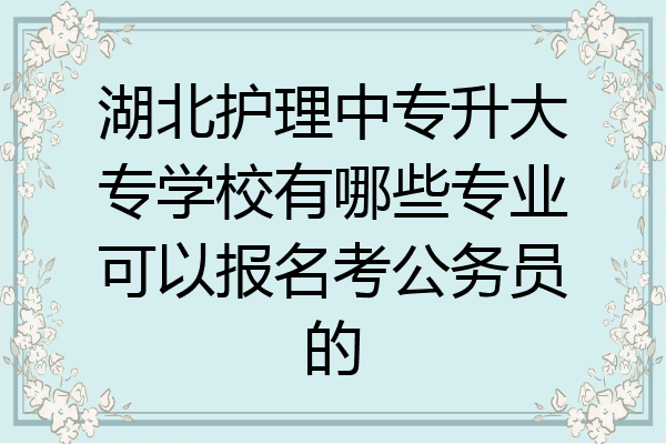 湖北护理中专升大专学校有哪些专业可以报名考公务员的