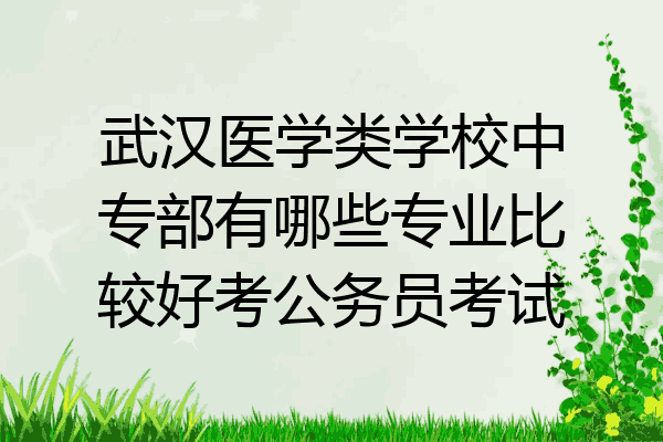 武汉医学类学校中专部有哪些专业比较好考公务员考试