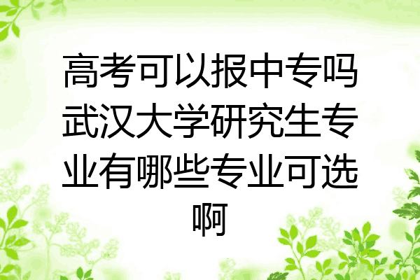 高考可以报中专吗武汉大学研究生专业有哪些专业可选啊