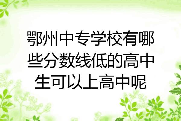 鄂州中专学校有哪些分数线低的高中生可以上高中呢