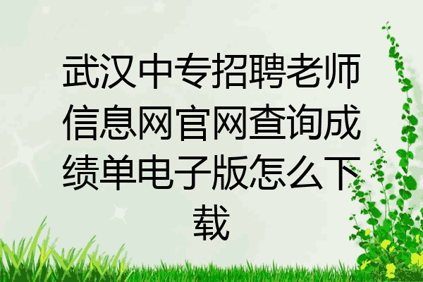 武汉中专招聘老师信息网官网查询成绩单电子版怎么下载