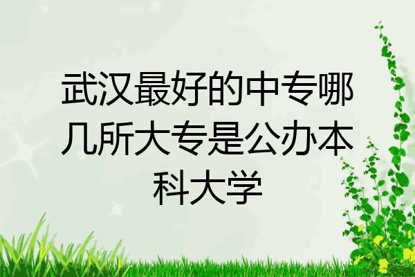 武汉最好的中专哪几所大专是公办本科大学