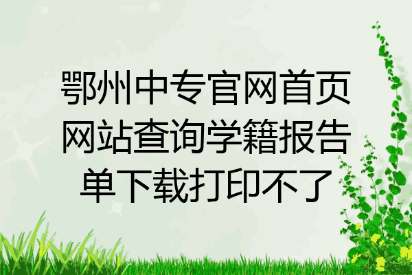 鄂州中专官网首页网站查询学籍报告单下载打印不了
