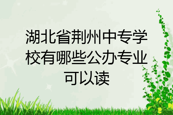 湖北省荆州中专学校有哪些公办专业可以读