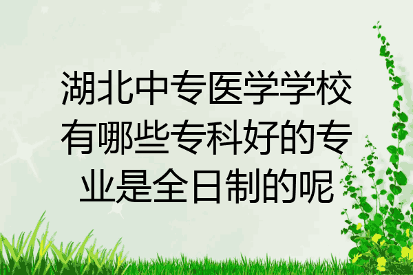 湖北中专医学学校有哪些专科好的专业是全日制的呢