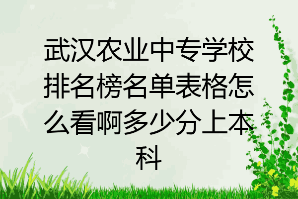 武汉农业中专学校排名榜名单表格怎么看啊多少分上本科