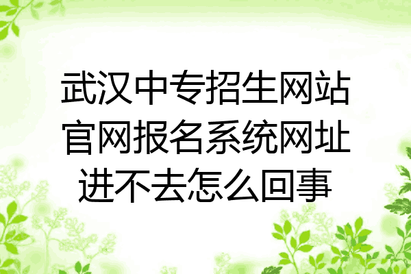 武汉中专招生网站官网报名系统网址进不去怎么回事