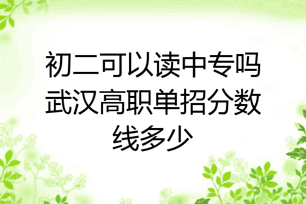 初二可以读中专吗武汉高职单招分数线多少