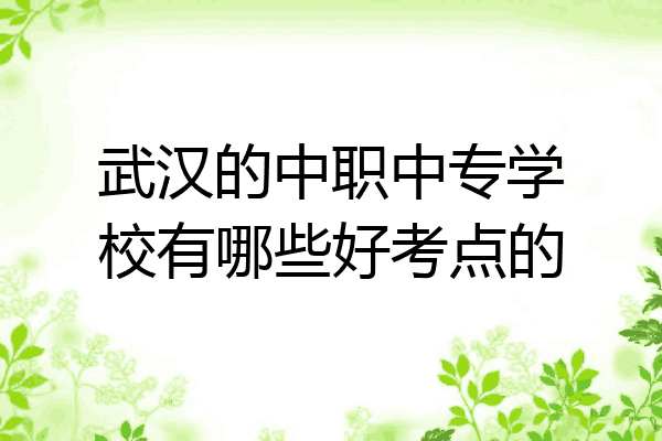 武汉的中职中专学校有哪些好考点的