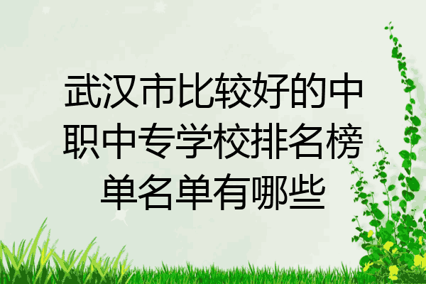 武汉市比较好的中职中专学校排名榜单名单有哪些
