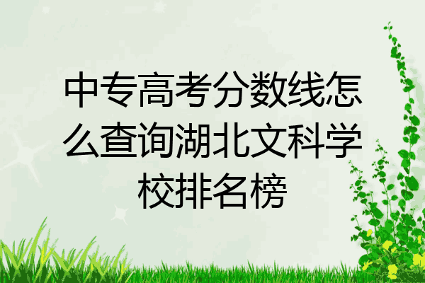 中专高考分数线怎么查询湖北文科学校排名榜