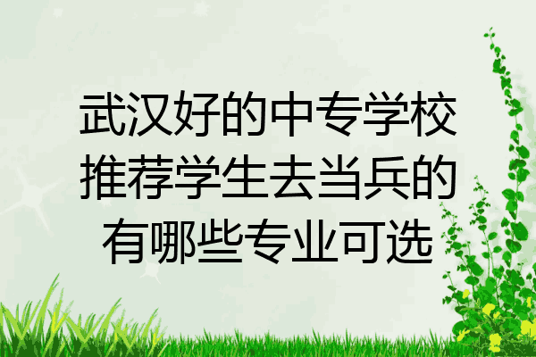武汉好的中专学校推荐学生去当兵的有哪些专业可选
