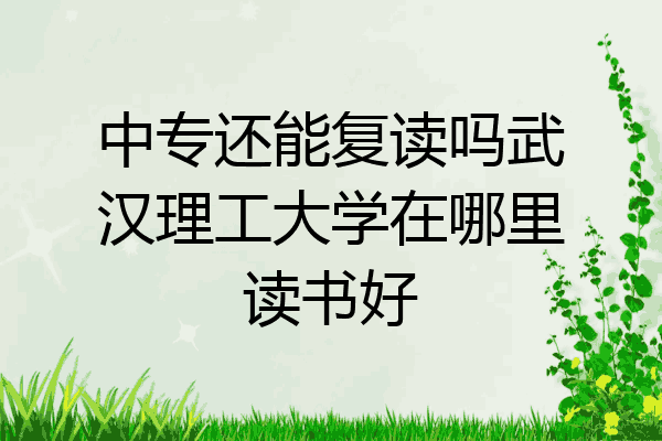 中专还能复读吗武汉理工大学在哪里读书好