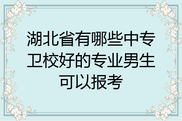 湖北省有哪些中专卫校好的专业男生可以报考