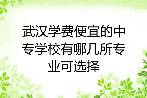 武汉学费便宜的中专学校有哪几所专业可选择