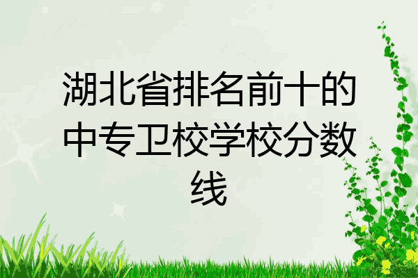 湖北省排名前十的中专卫校学校分数线