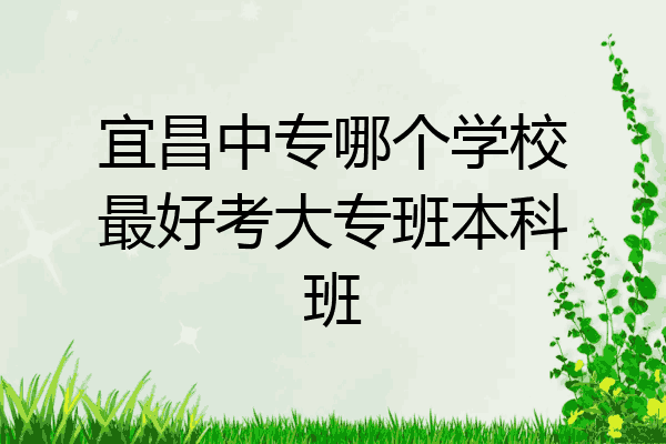 宜昌中专哪个学校最好考大专班本科班