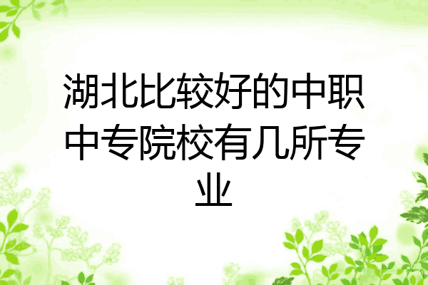 湖北比较好的中职中专院校有几所专业