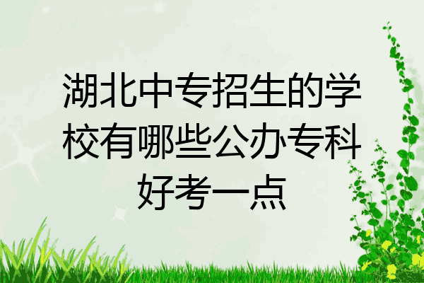 湖北中专招生的学校有哪些公办专科好考一点