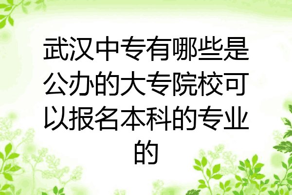 武汉中专有哪些是公办的大专院校可以报名本科的专业的