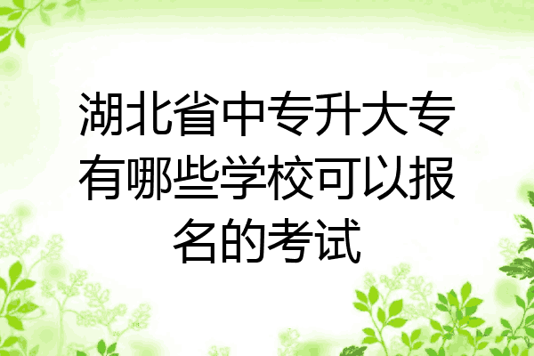 湖北省中专升大专有哪些学校可以报名的考试